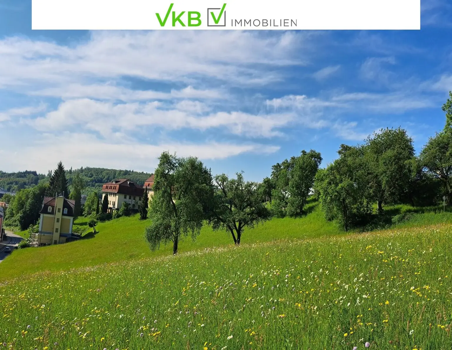 Bad Schallerbach: NEUER PREIS Großflächiges Baugrundstück (6395m²) in Zentrumslage zu verkaufen!