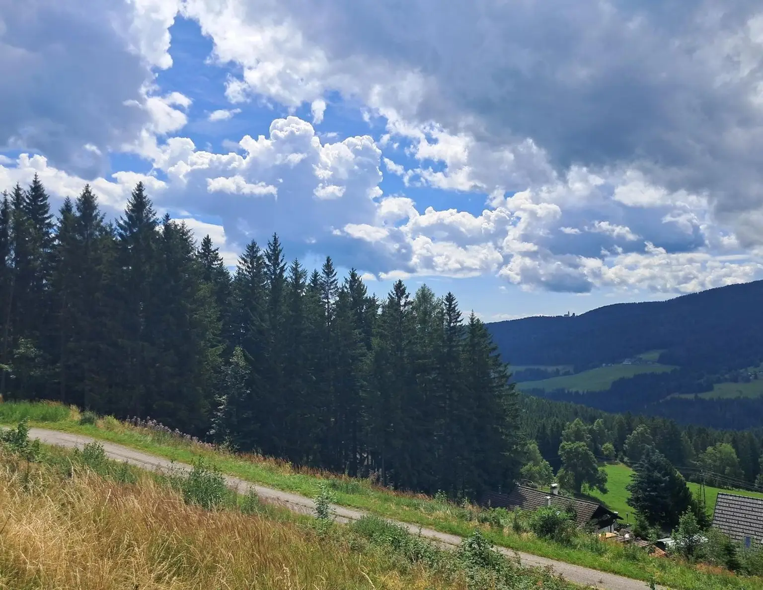 3 Hebalm Grundstücke mit 4 bewilligten Ferienhäuser (Provisionsfrei)