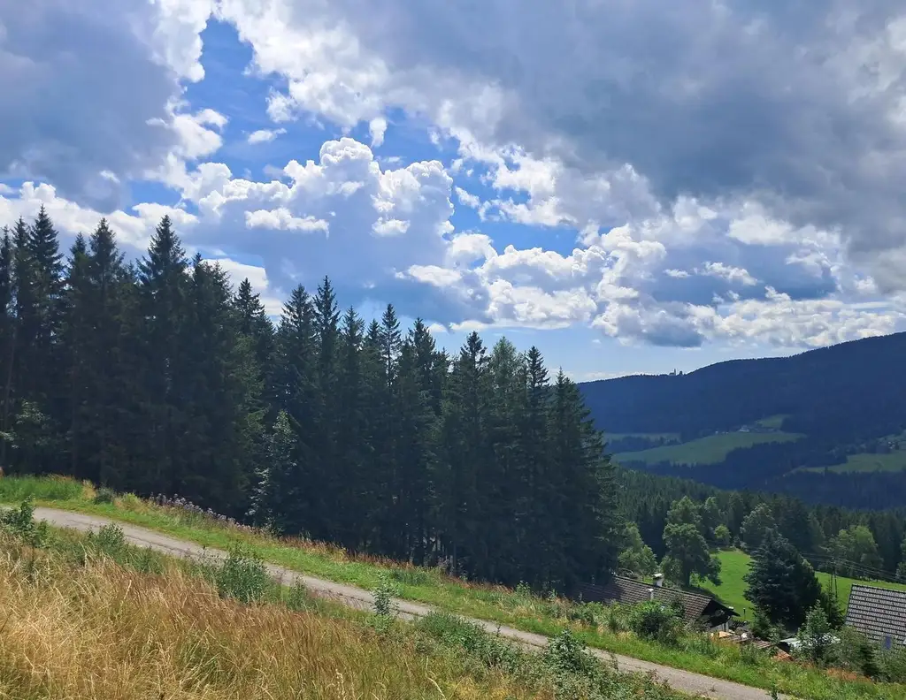 3 Hebalm Grundstücke mit 4 bewilligten Ferienhäuser (Provisionsfrei)