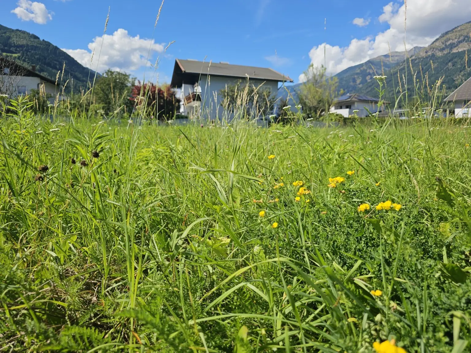 Gönnen Sie sich das Fundament für Ihr neues Leben - schönes Baugrundstück ohne Bebauungsverpflichtung