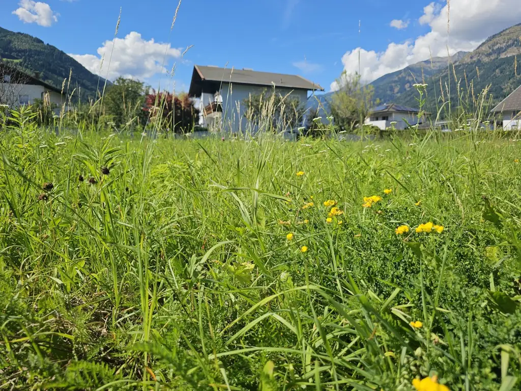 Gönnen Sie sich das Fundament für Ihr neues Leben - schönes Baugrundstück ohne Bebauungsverpflichtung