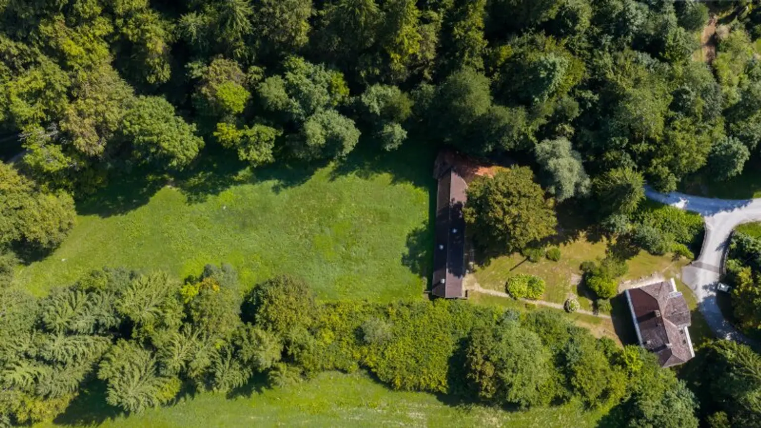 Ehemaliges Forsthaus mit Wirtschaftsgebäuden, allein und ruhig im Wald gelegen.