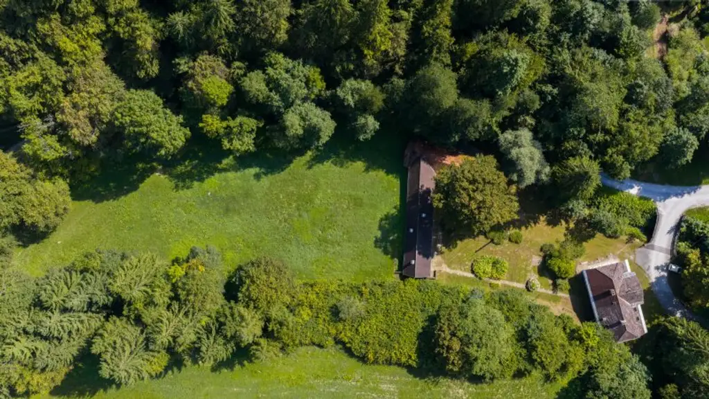 Ehemaliges Forsthaus mit Wirtschaftsgebäuden, allein und ruhig im Wald gelegen.