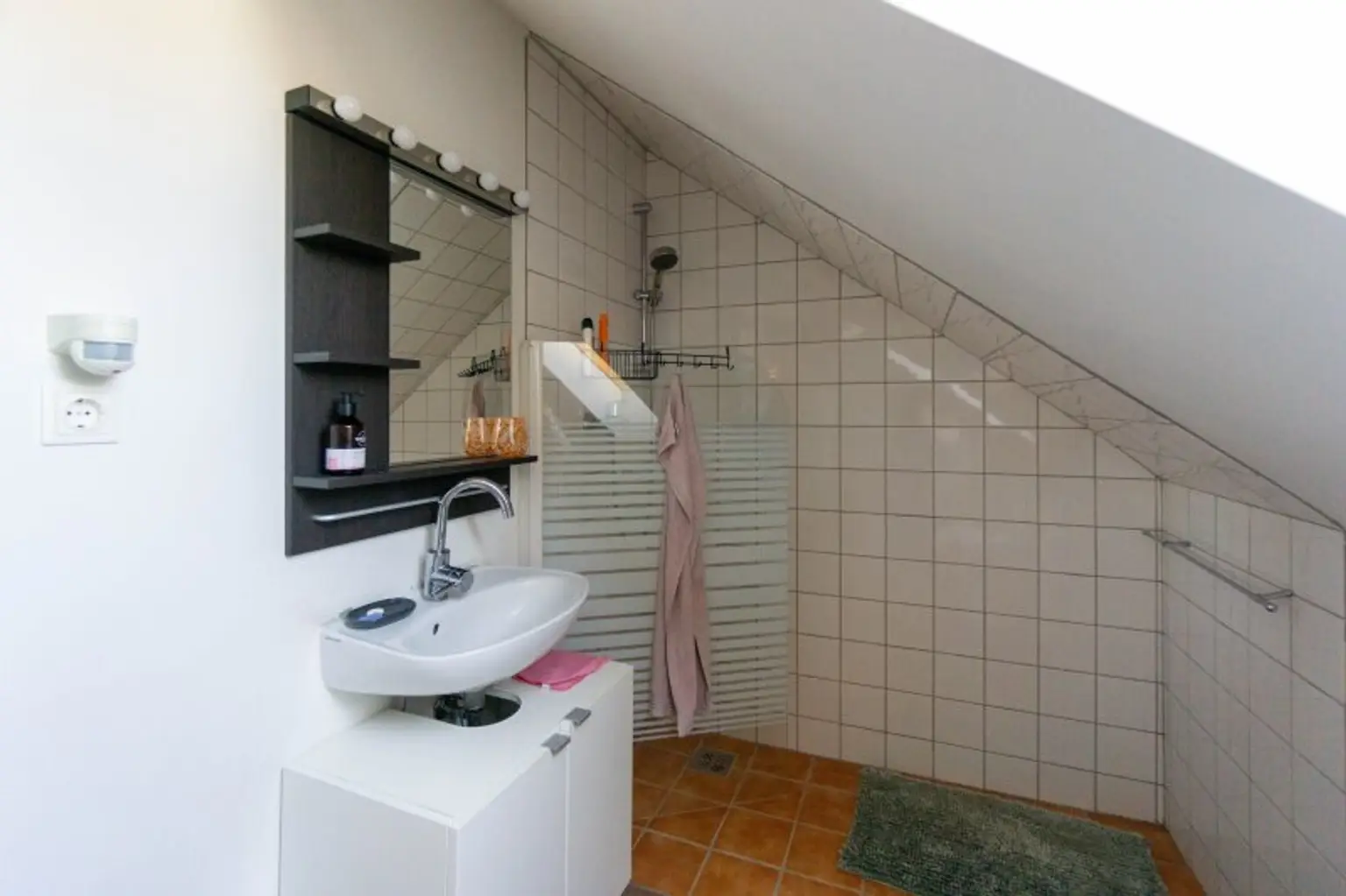 Einliegerwohnung / Dusche und WC