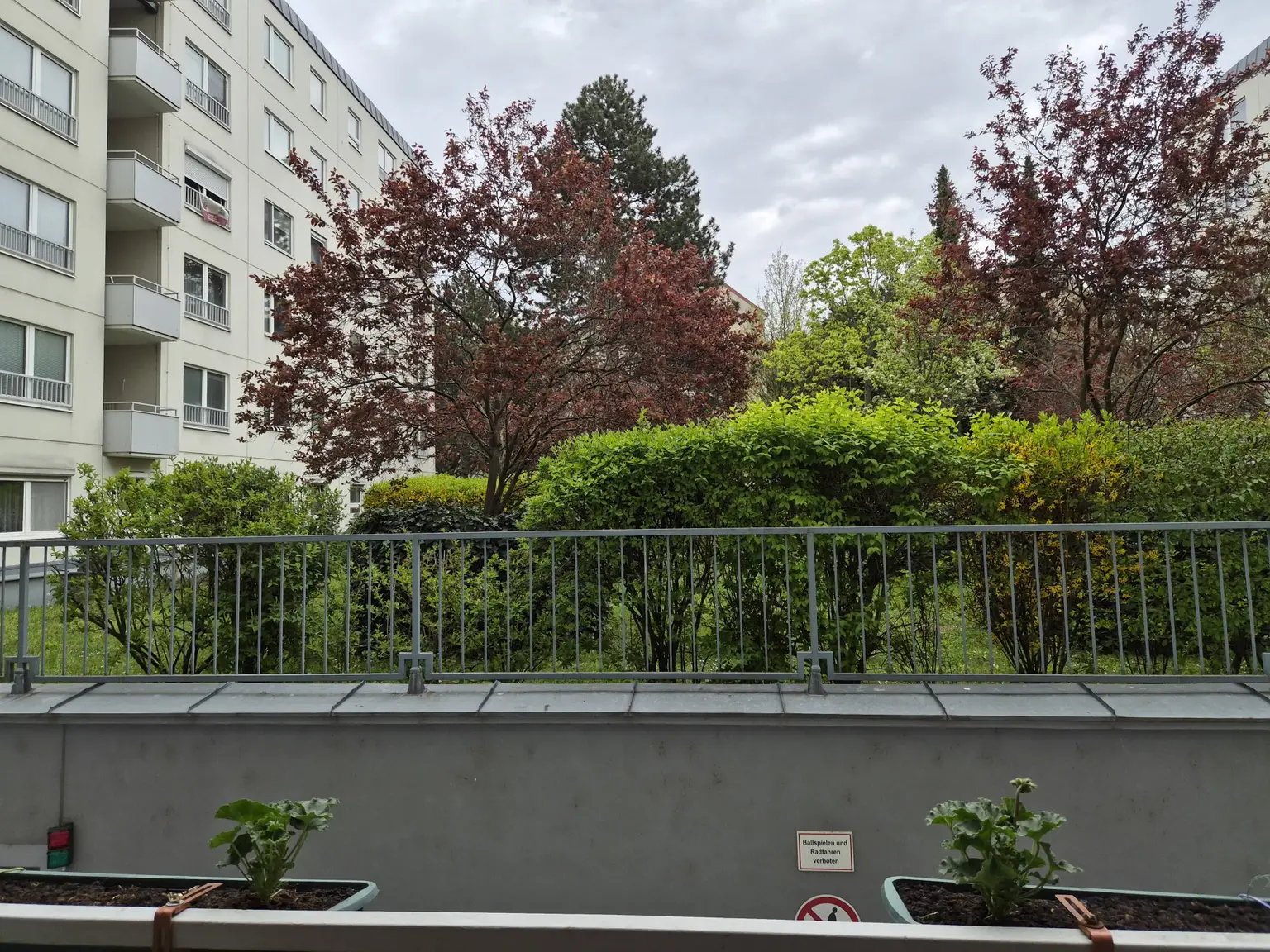 Blick auf Innenhofgarten in der Anlage