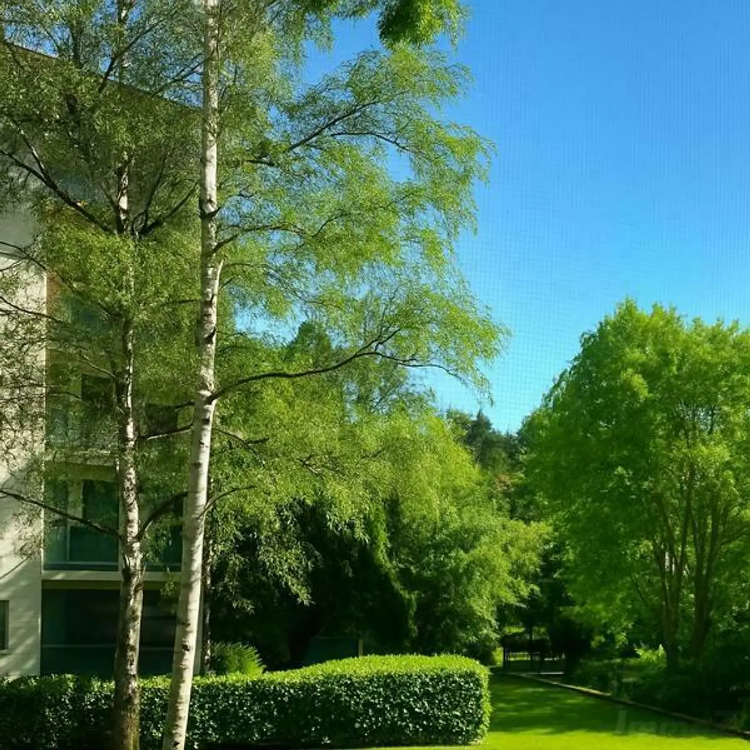 Sommerfoto Blick von der Wohnung - KI-generiert