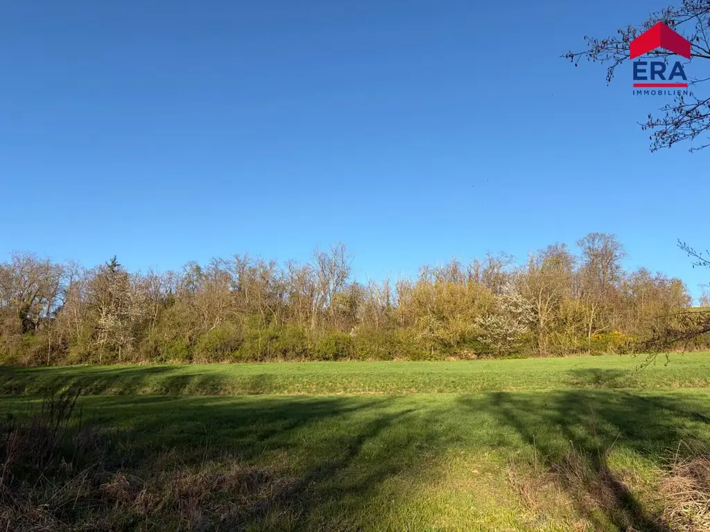 Exklusives Freizeitgrundstück in absoluter Grünruhelage – Natur, Weite & vielfältiges Potenzial in Gaweinstal