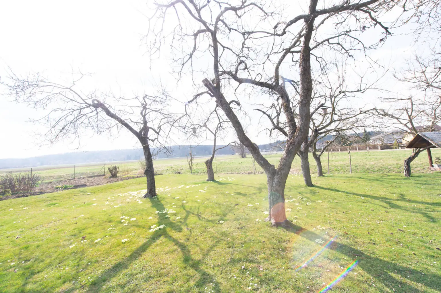 Wörth an der Lafnitz-46