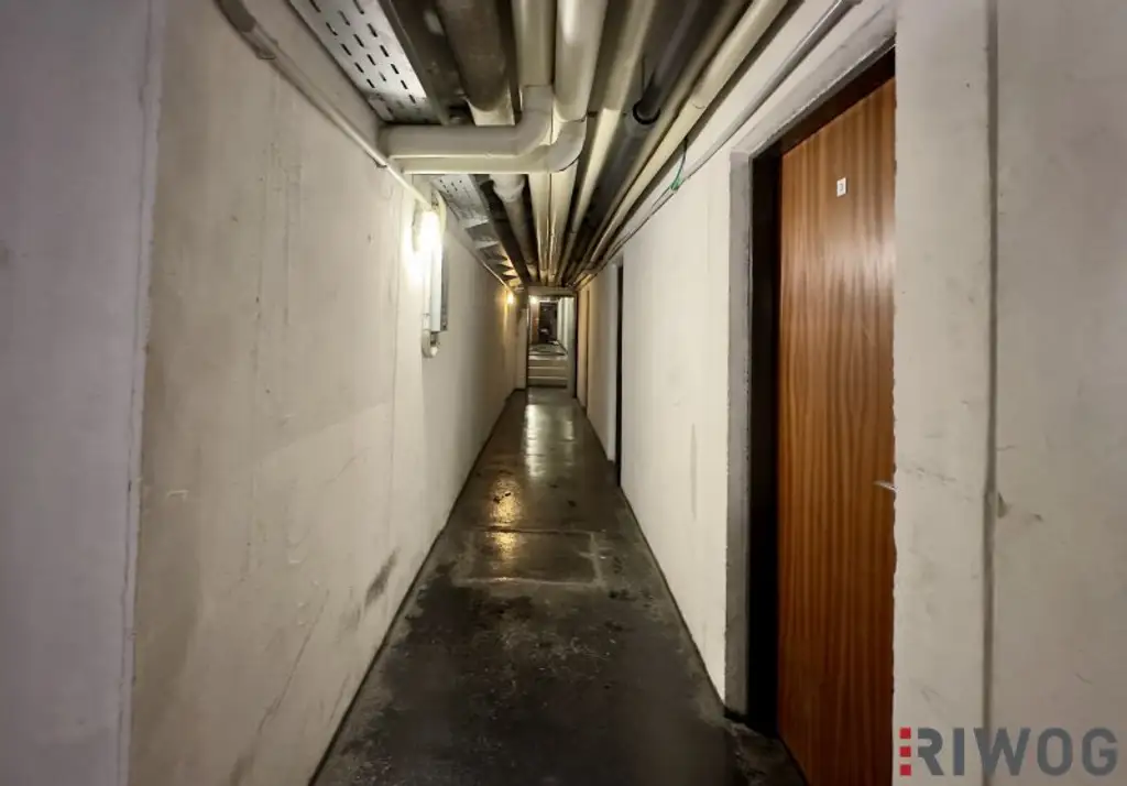 ERSTBEZUG nach Sanierung I 4 Zimmer Wohnung mit Loggia I Tischler Küche mit Siemens Geräte inklusive I Ruhelage I Naturpark Föhrenberge I 360° Rundgang