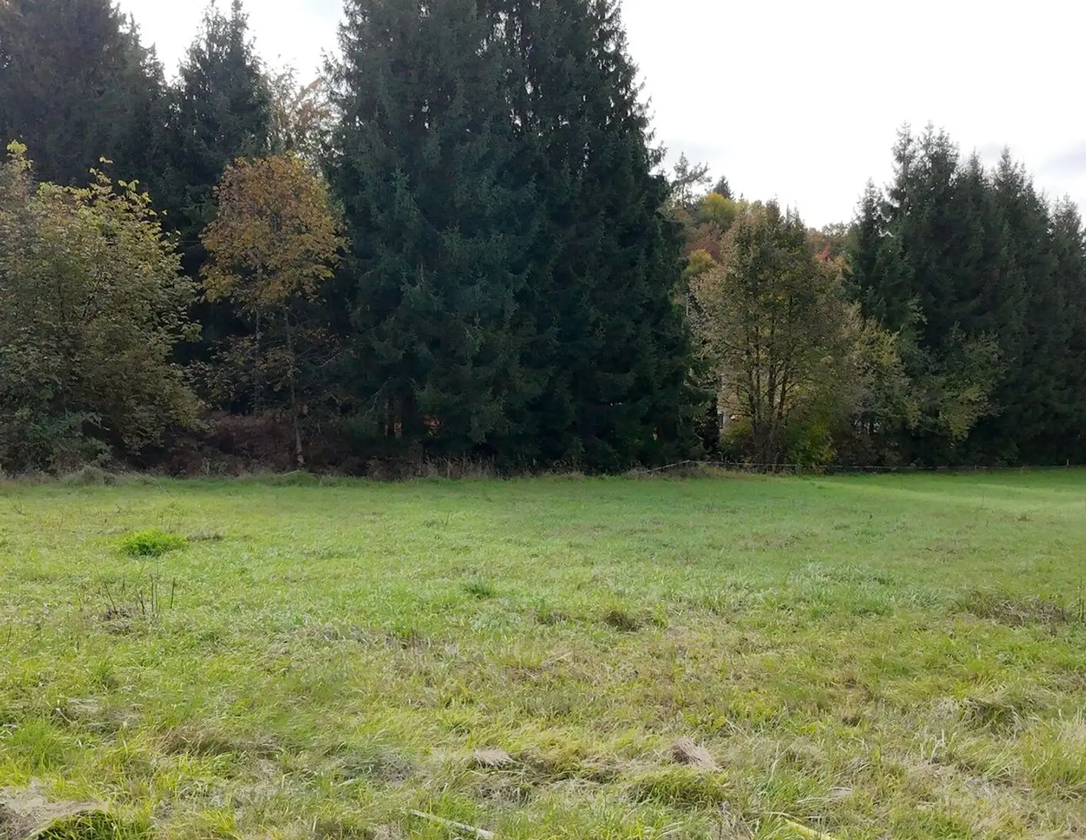 Attraktives Baugrundstück- groß, eben und vielseitig nutzbar