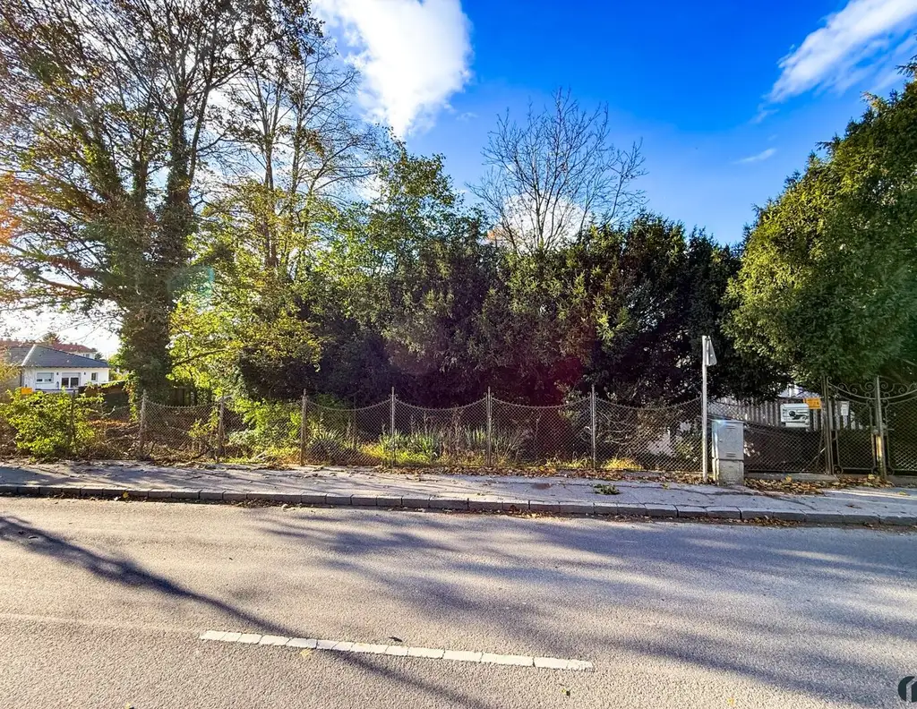 Grundstück mit Potenzial für Ihr Einfamilienhaus in Altenberg