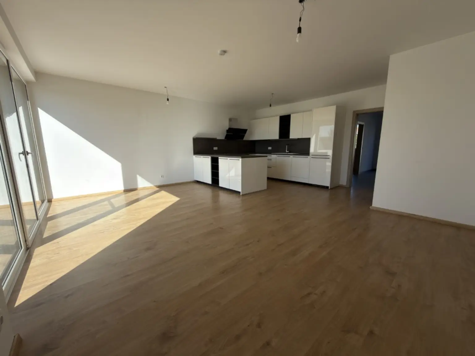 EG Wohnküche (1)