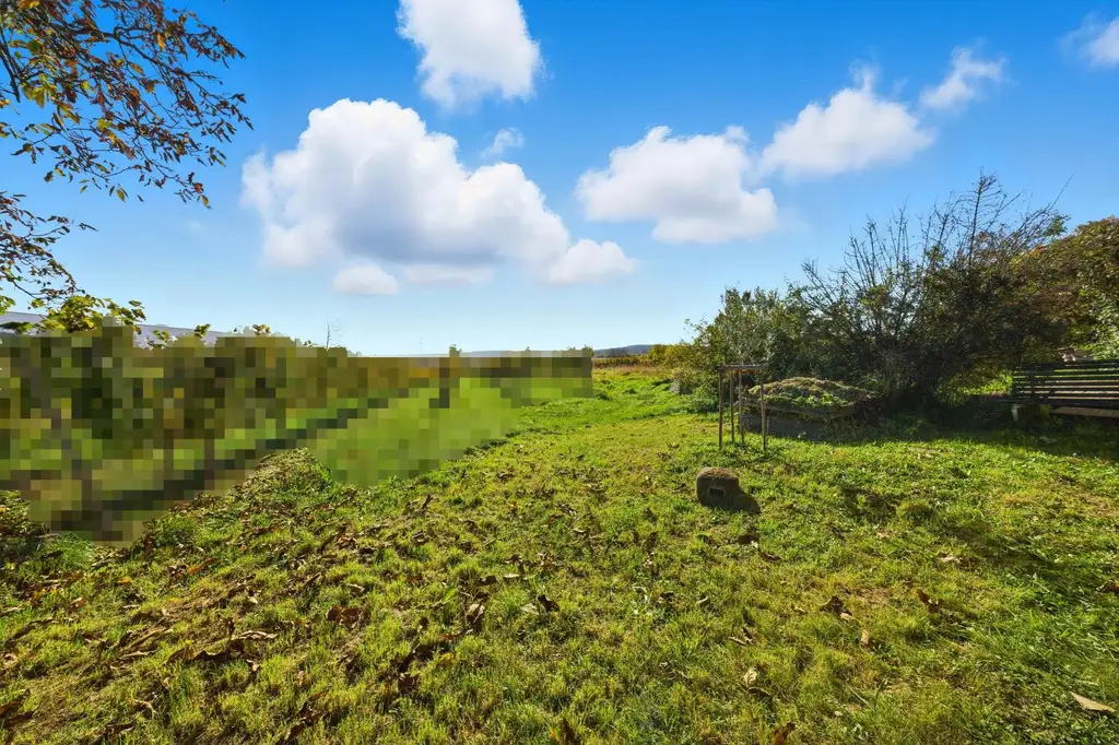 Weinkultur erleben im Ort für Genießer – Weinkeller, Presshaus & Weingarten vereint