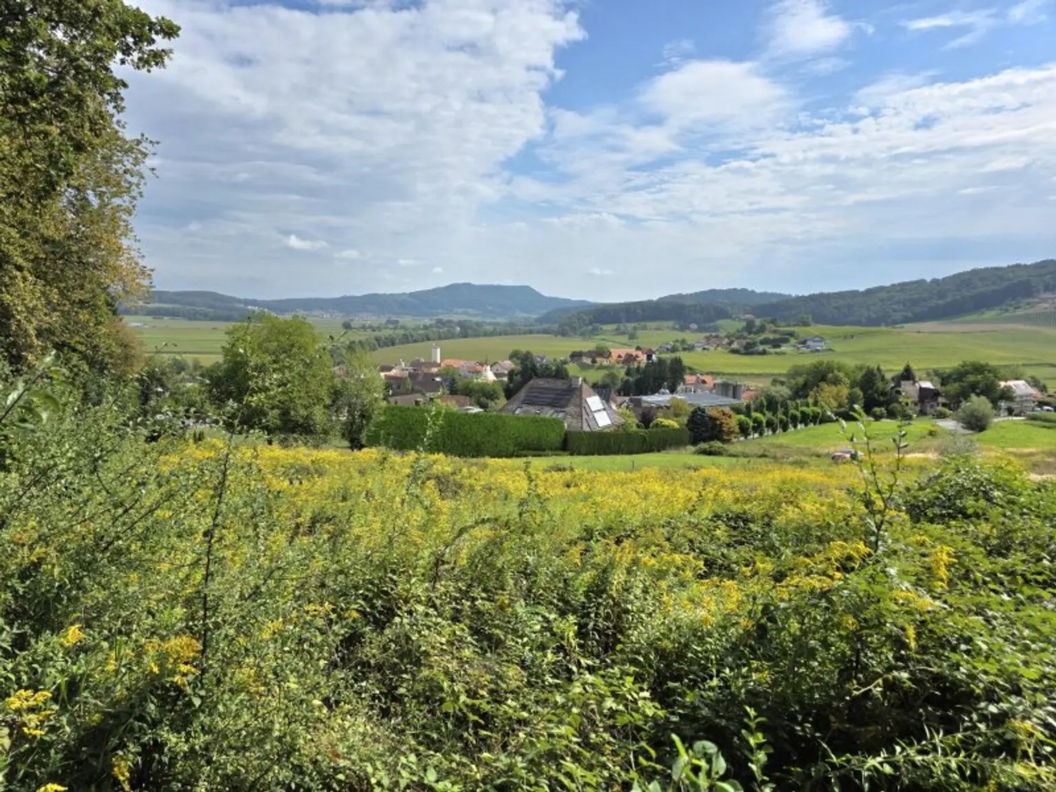 Sonniges Bauland mit Pläne und Baubewilligung!