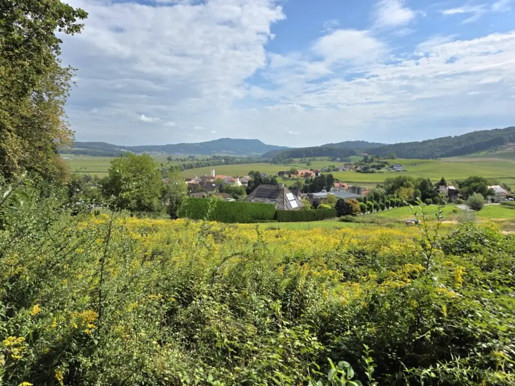 Sonniges Bauland mit Pläne und Baubewilligung!