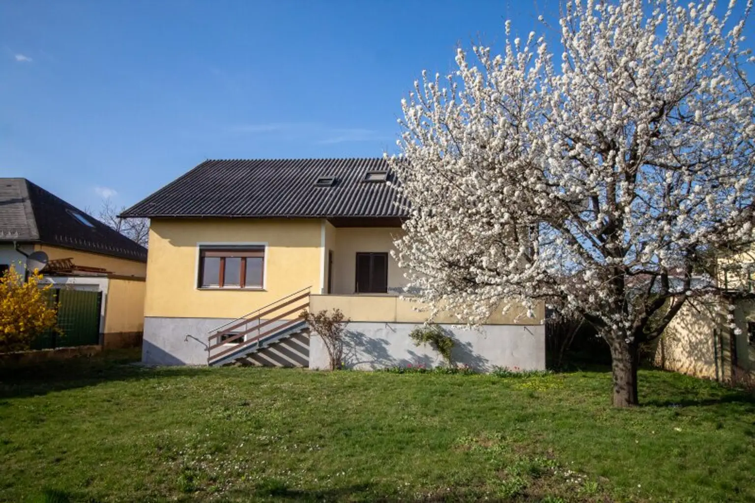 Blick vom Garten zum Haus