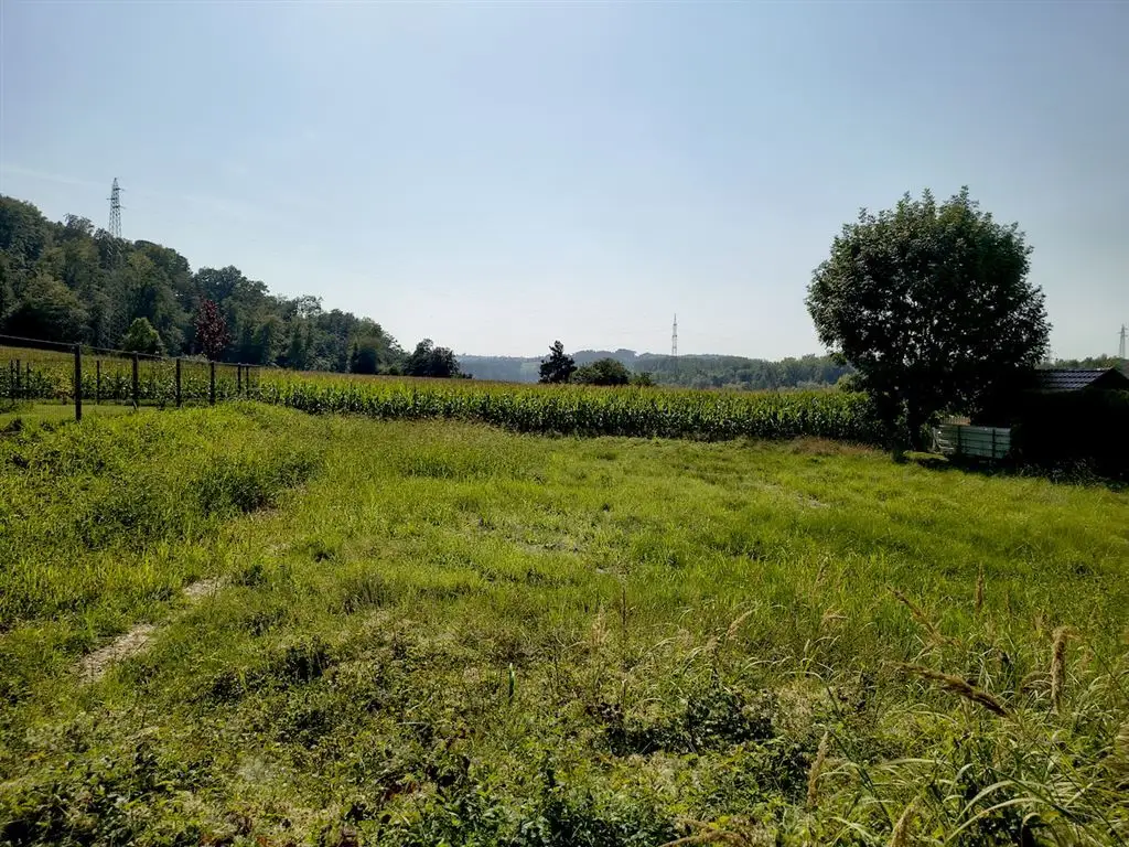 3313 Wallsee/Nähe Donau: Sonniges Baugrundstück in sehr guter, ruhiger Lage