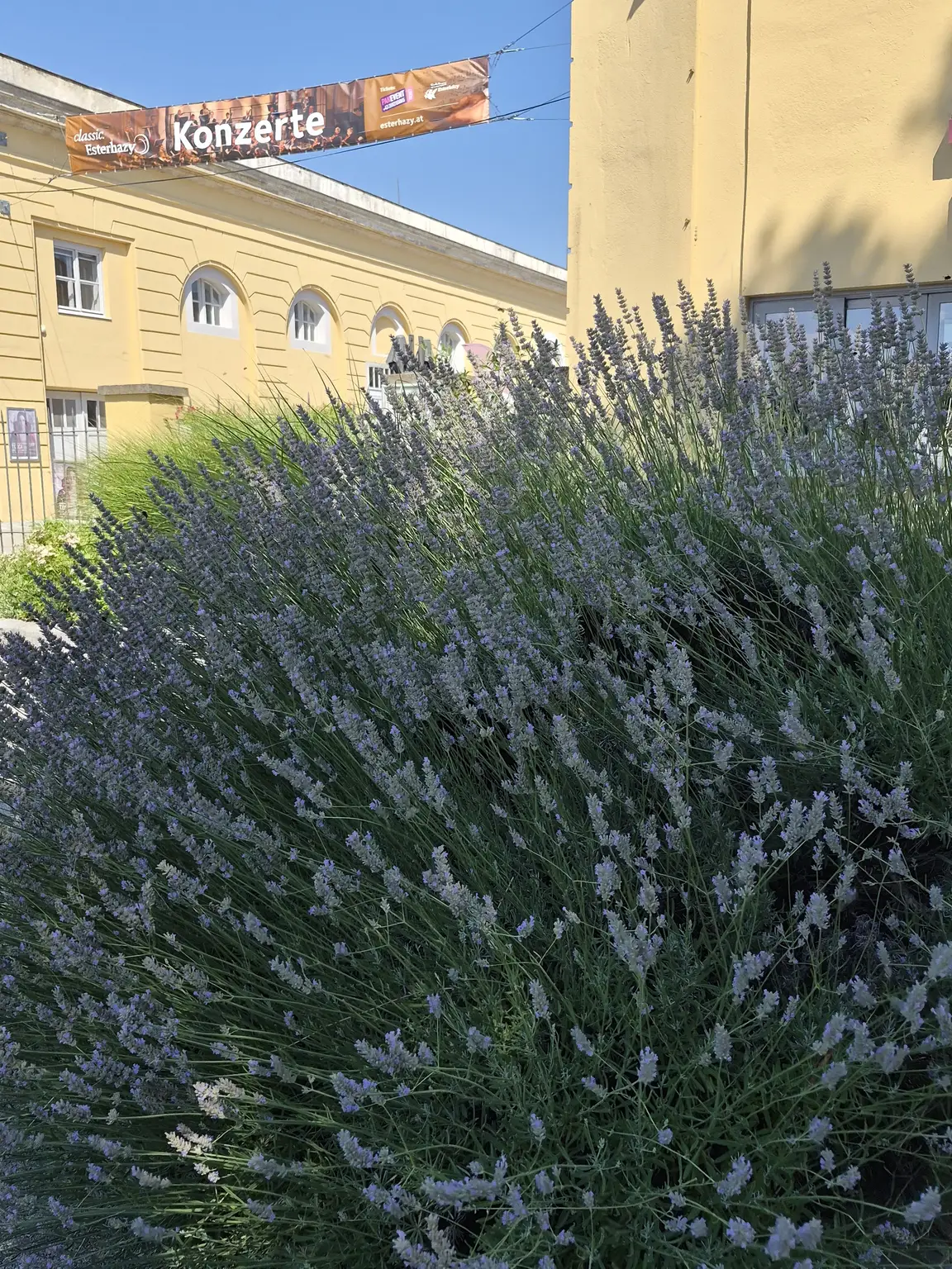 Ca. 68,40 m² Terrassenwohnung mit 24,70 m² südostseitiger Terrasse