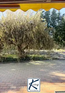 Blick in den Garten_1