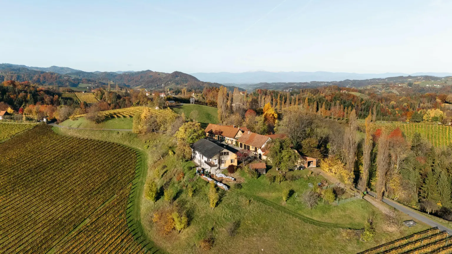 Buschenschank/Heuriger Eory zum Traubenkogel zu verkaufen!
