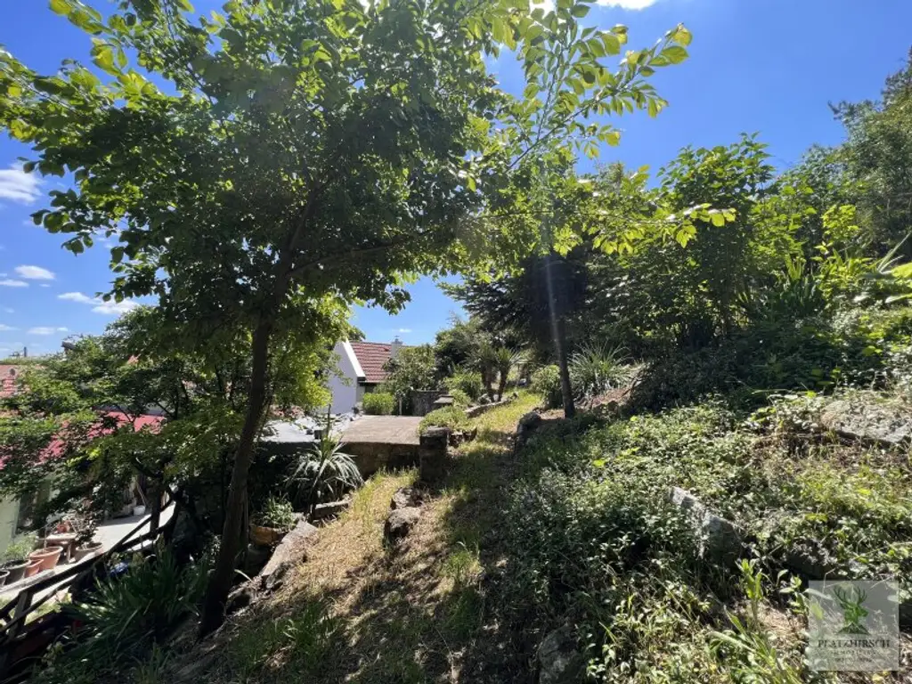 Einzigartiges Liebhaberobjekt mit toskanischem Flair, riesigem Garten, herrlichem Wintergarten, in Prottes - 35 Min von Wien - 8 Minuten von Gänserndorf