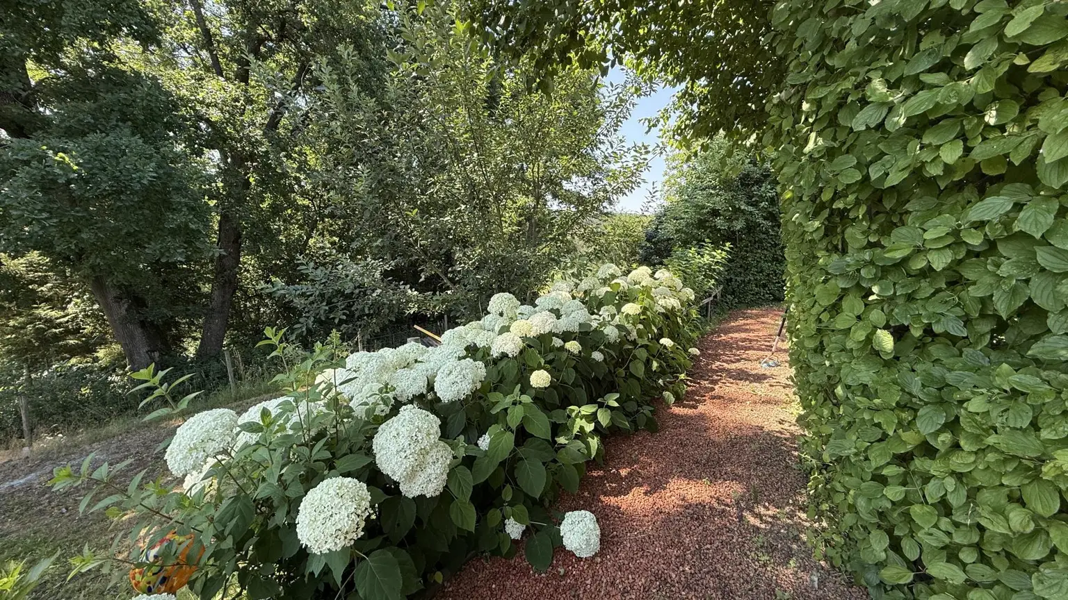 Weg zum Schwimmteich