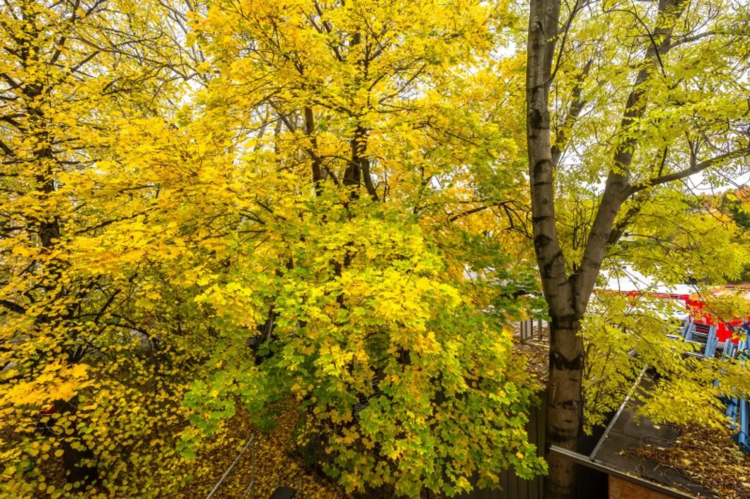 ++Fasangarten++ Altbau mit Potenzial – 2 Zimmer zum Sanieren