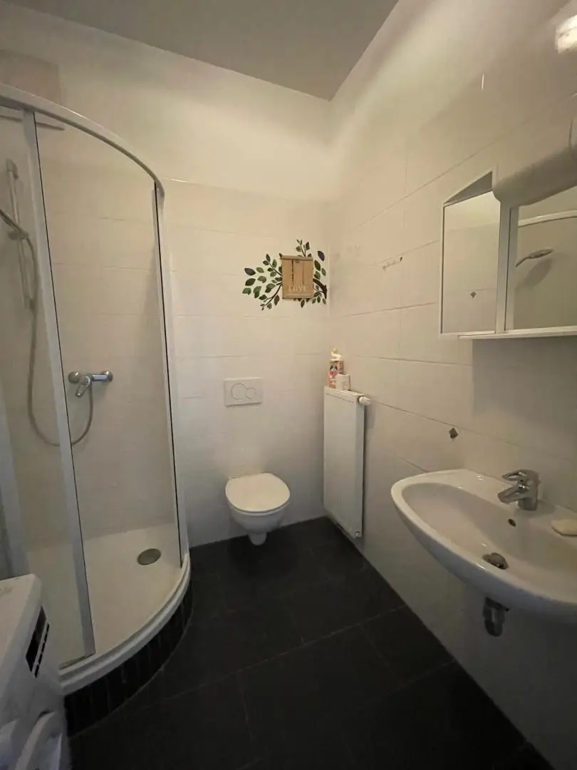 IMG_7339 IMS IMMOBILIEN KG LEOBEN