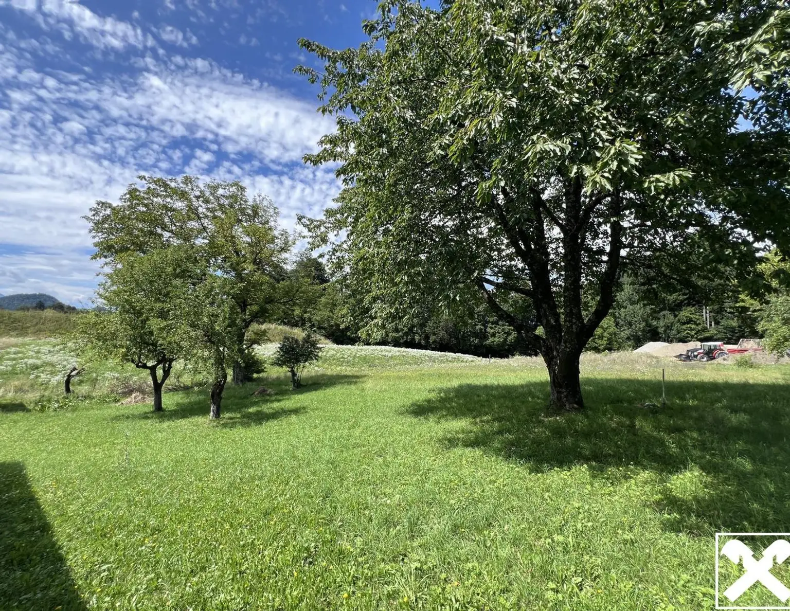 Ruhiges Idyll am Waldrand