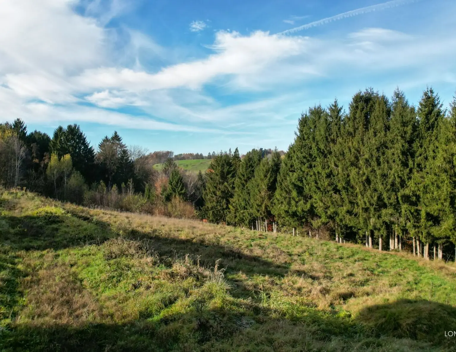 Hervorragendes Grundstück unweit der Stadtgrenze zu verkaufen!