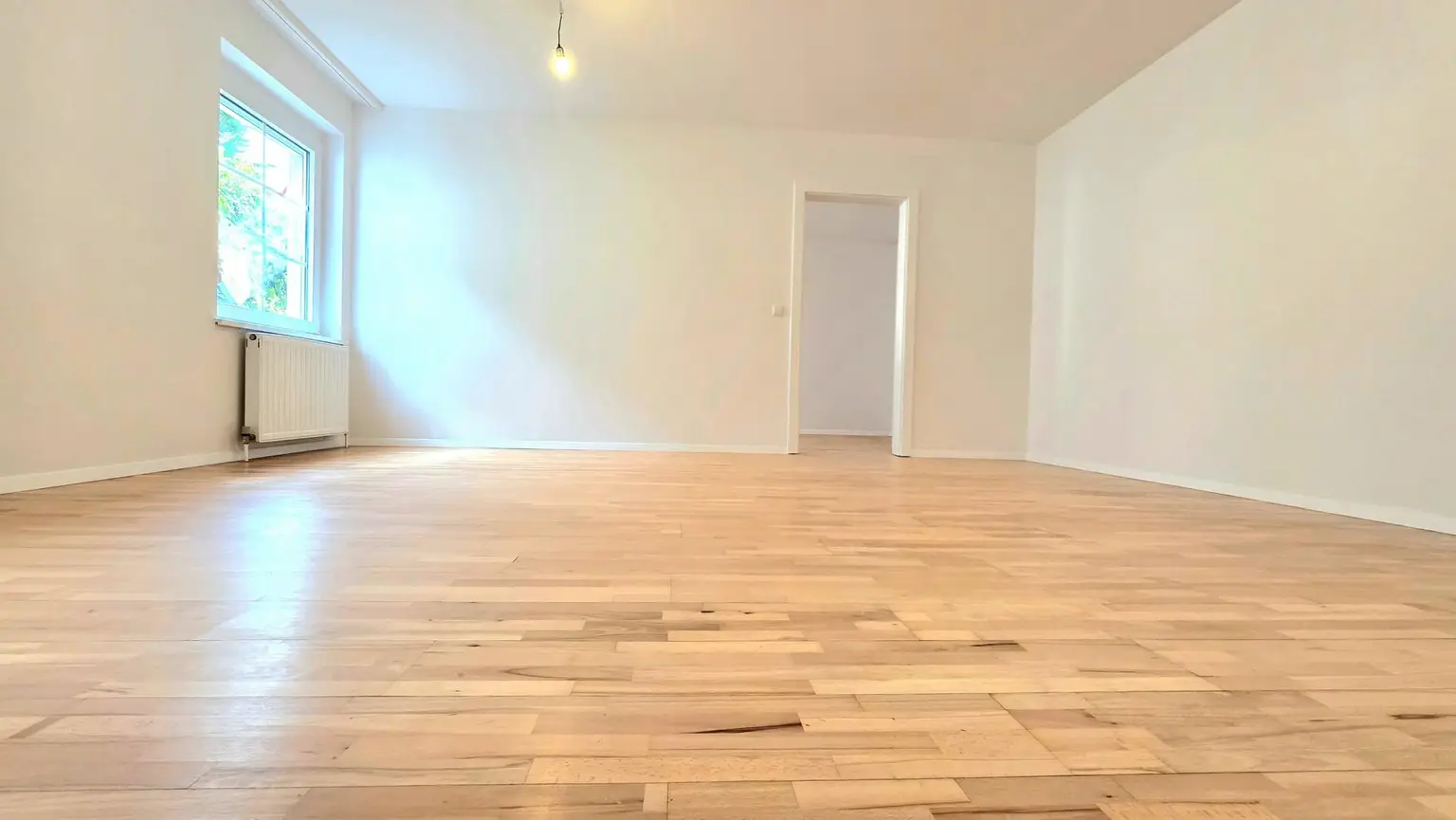 ZIMMER 1.