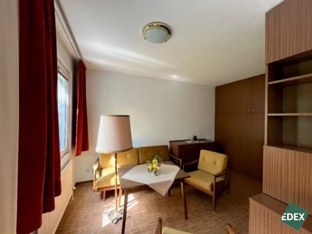 Charmante 1-Zimmer-Wohnung mit Blick ins Grüne in Wien Brigittenau