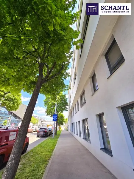 Ihre Wohlfühl-Oase in Best- und Ruhelage! Donauzentrum und Alte Donau um´s Eck! 3 ruhige Zimmer in Hoflage + Terrasse + Ideale öffentliche Anbindung! Jetzt zugreifen!