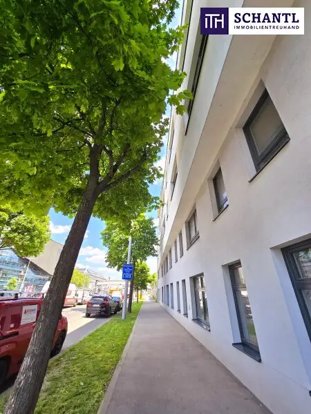 Ihre Wohlfühl-Oase in Best- und Ruhelage! Donauzentrum und Alte Donau um´s Eck! 3 ruhige Zimmer in Hoflage + Terrasse + Ideale öffentliche Anbindung! Jetzt zugreifen!