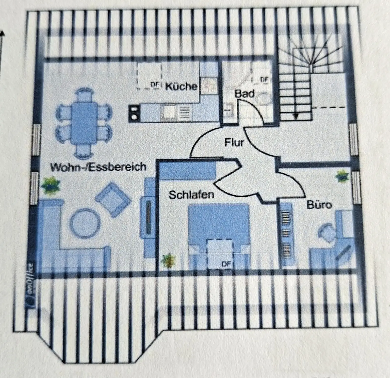 Grundriss DG