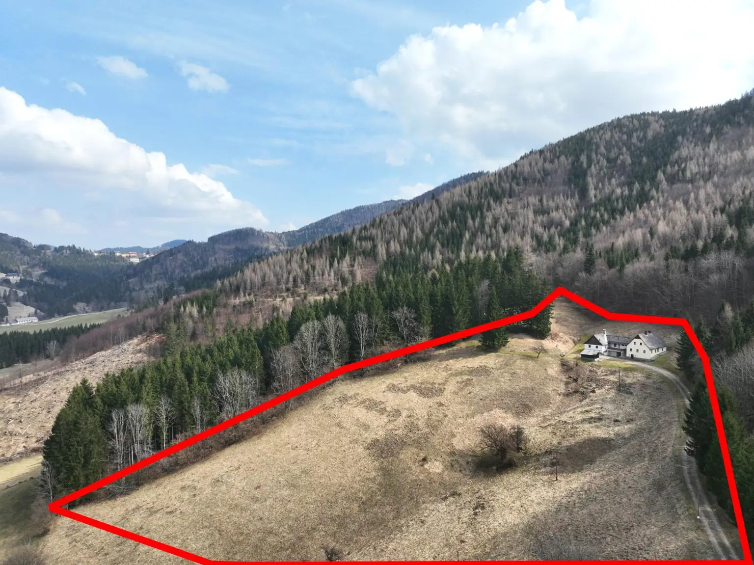 großzügiges Grundstück