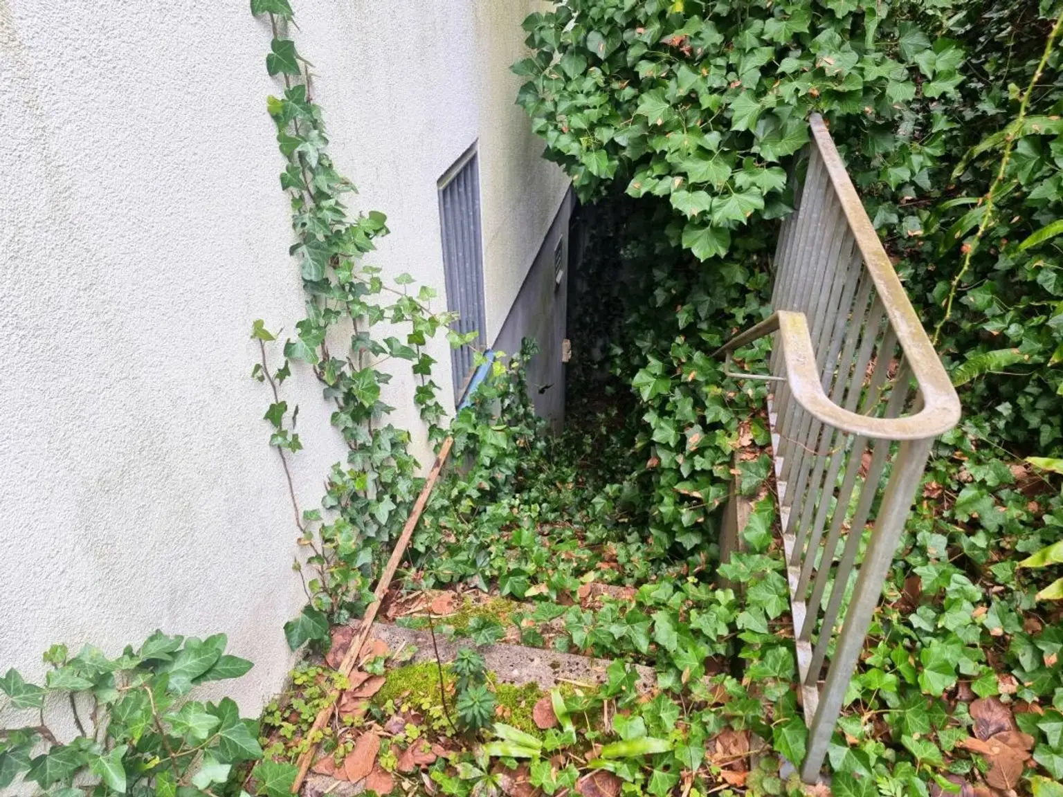 Ein ungeschliffener Diamant!