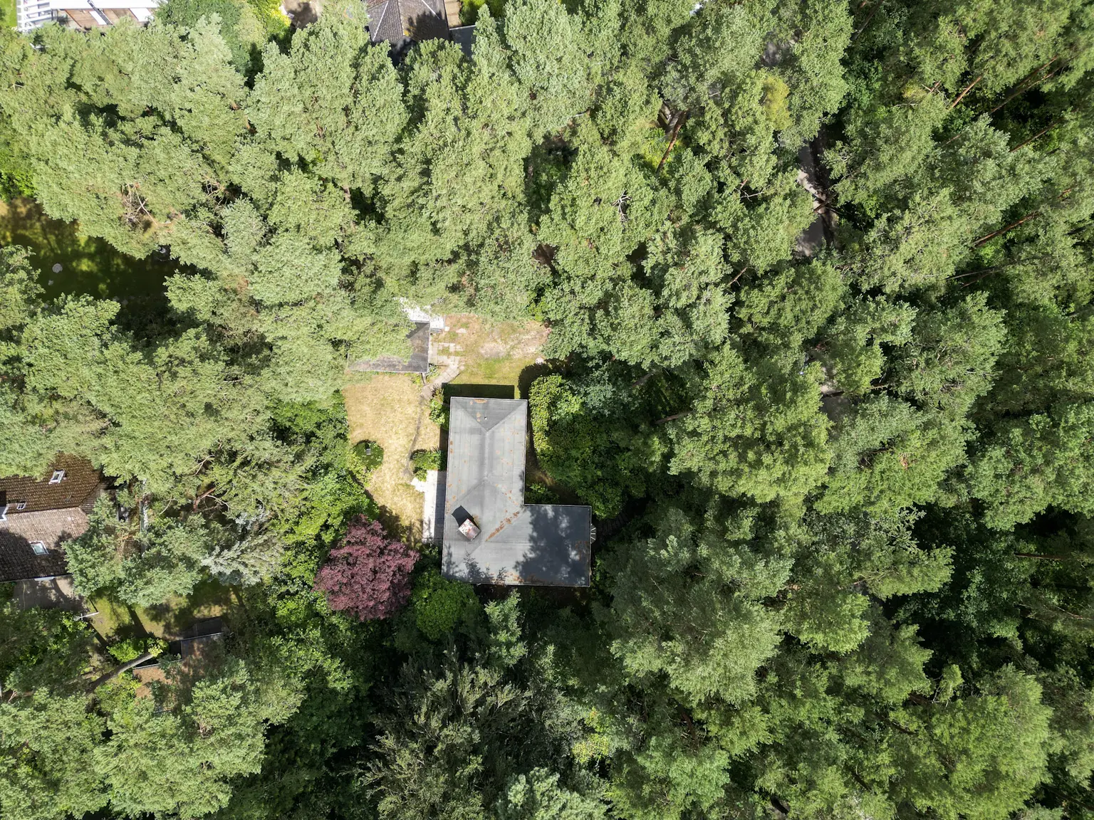 6-DJI_0522