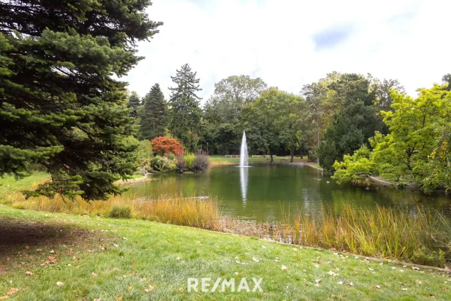 Umgebung Türkenschanzpark