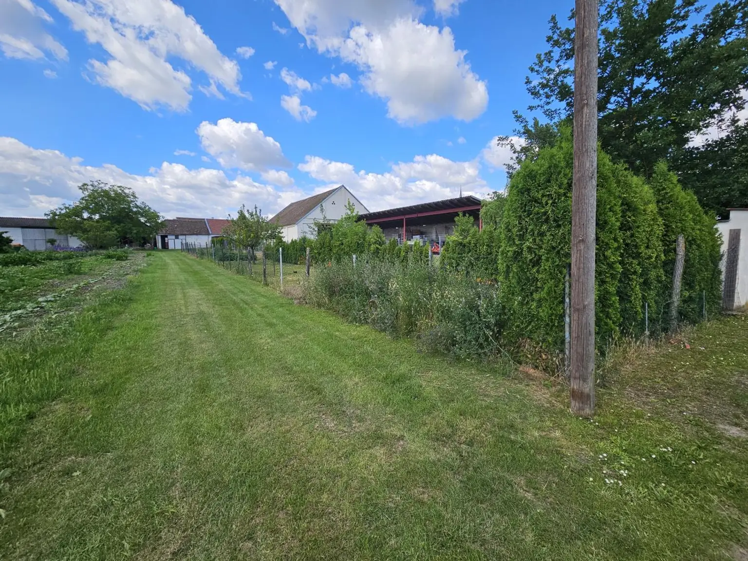 Garten hintaus (3)