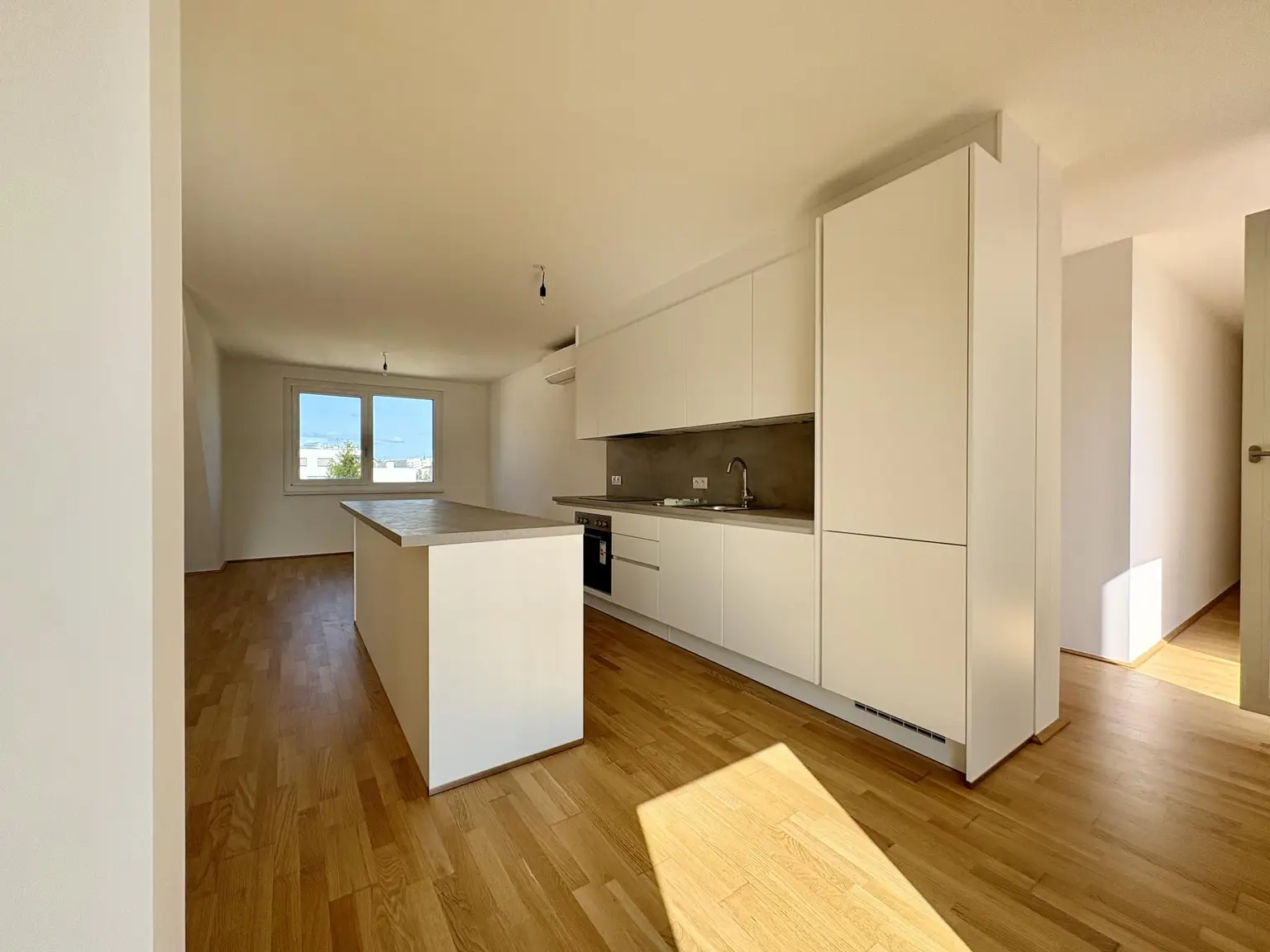 Lichtdurchflutete Dachwohnung mit offenem Wohn-Essbereich