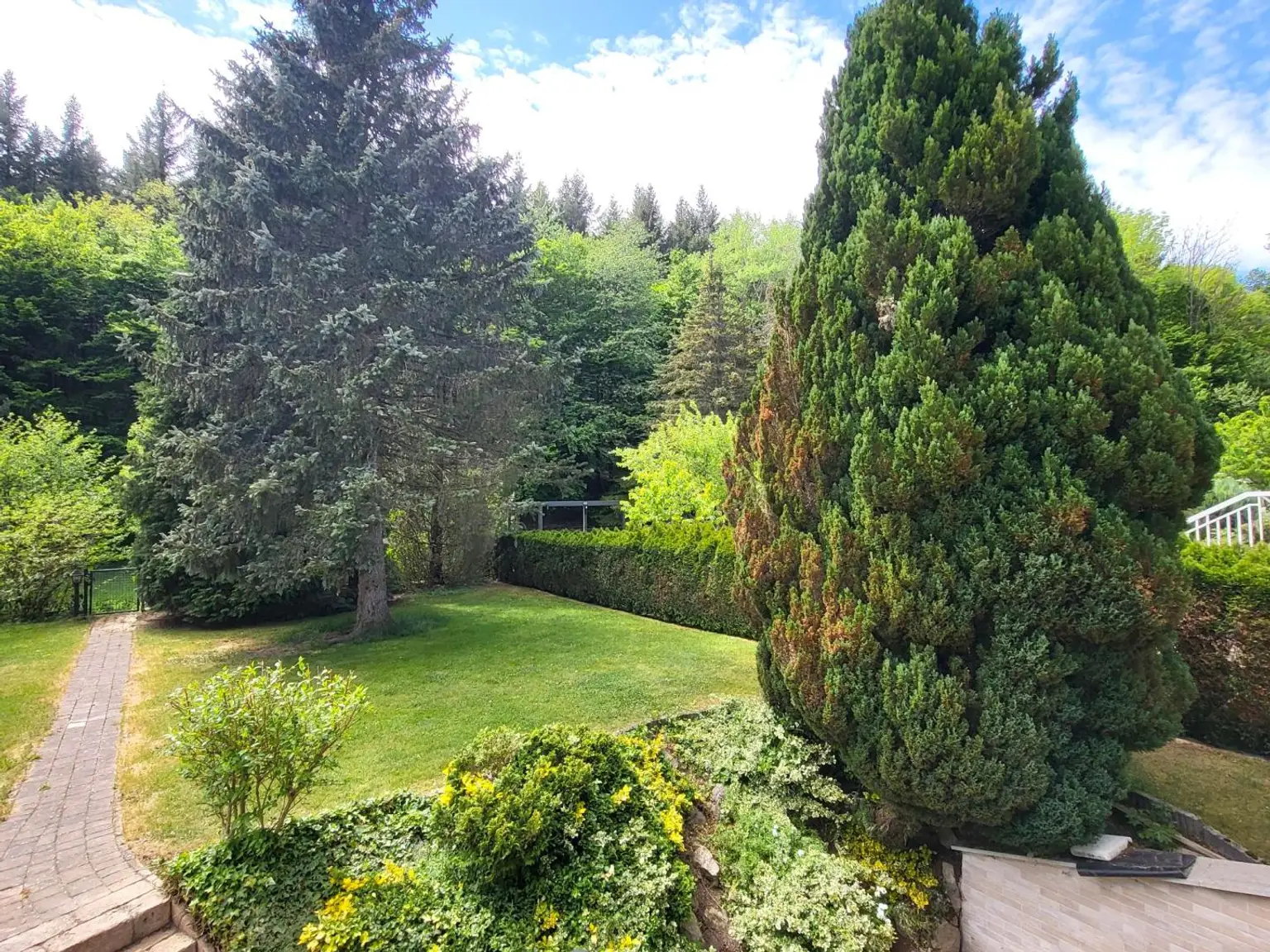 03 Garten (5)
