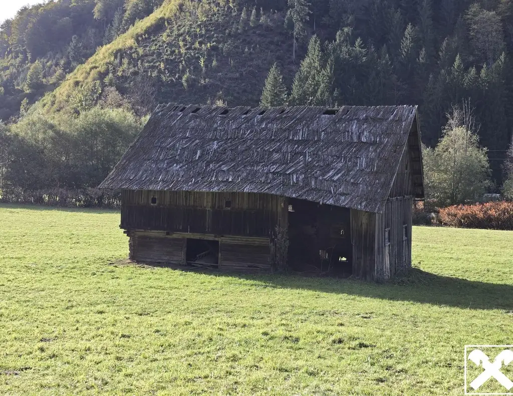 Grundstücke mit Zukunft - vielseitig nutzbare Wald- und Wiesenflächen in idyllischer Lage von Bad Eisenkappel
