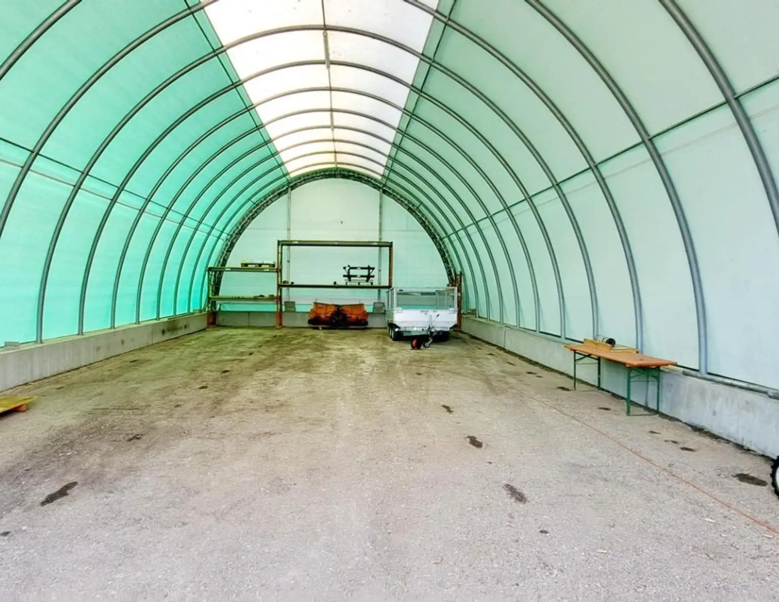 VIEL GRUND - VIEL GRÜN