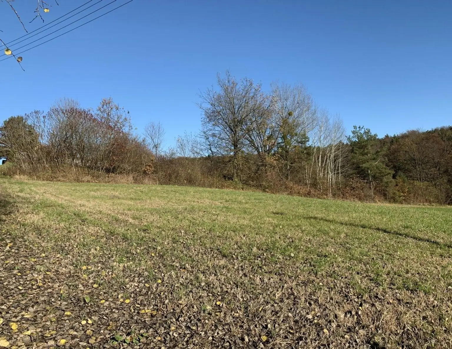 Baugrundstück, Toplage, leichte Süd-Hanglage, Nähe Loipersdorf und Jennersdorf