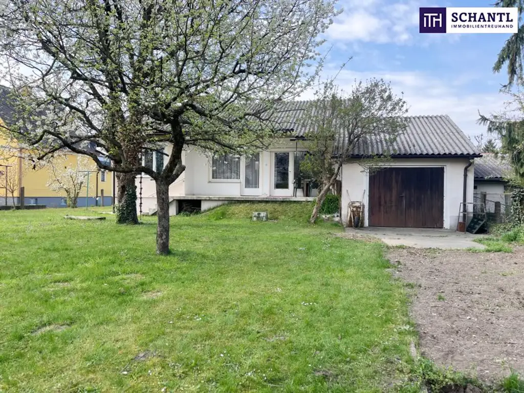 PLATZ zum WACHSEN – sanierungsbedürftiges Haus mit großem Garten und traumhaften Bäumen in Graz Liebenau! Bungalow mit Ausbaureserve!