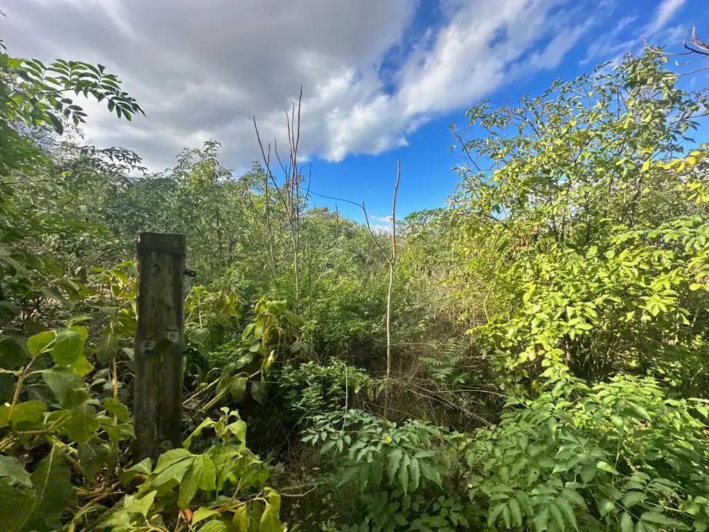 Reiterparadies im Weinviertel – Ihr Traum vom Landleben!