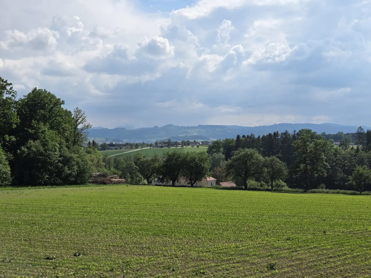 Ausblick ins Grüne