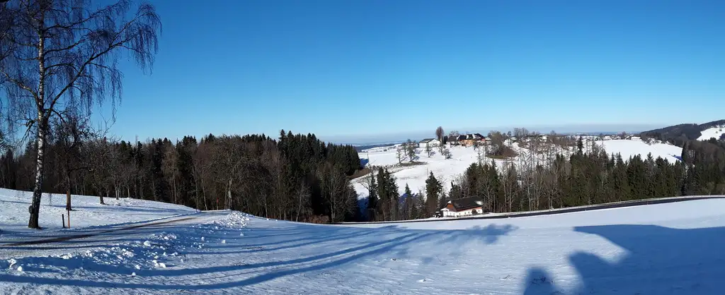 Wohnen im Schloss in Gschwandt