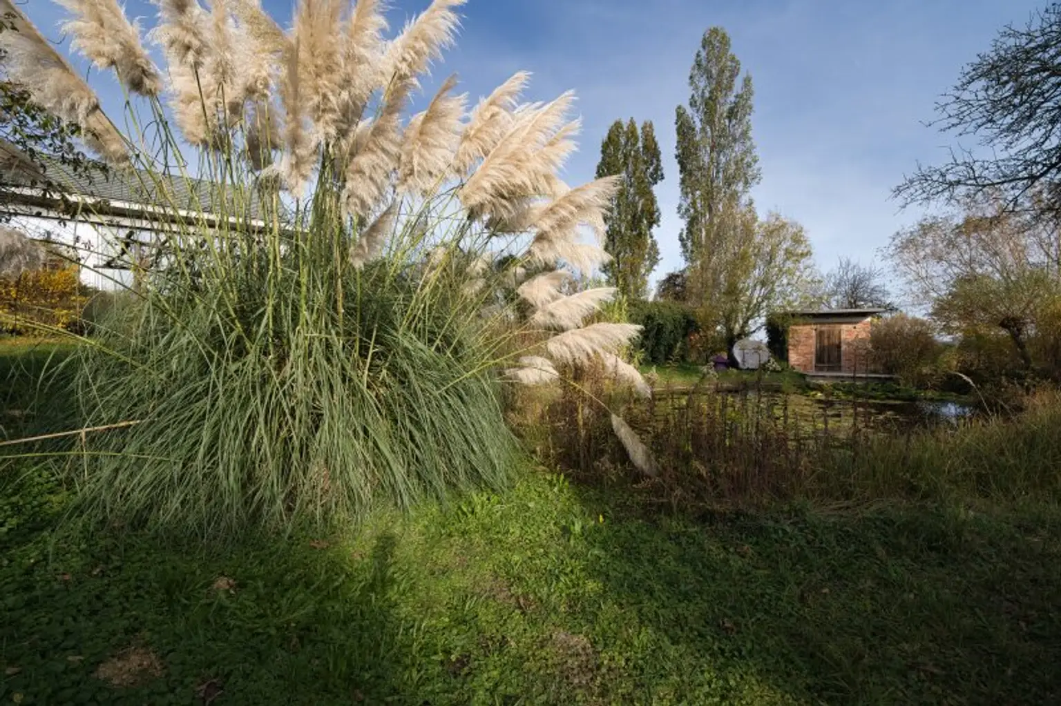 Exklusives Landdomizil – 200 m² Lebensqualität mit Gäste- und Baumhaus auf 6 Hektar Naturgrund!